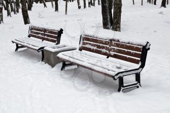 Two benches in winter park