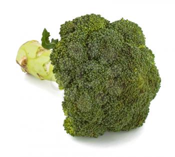 Ripe green broccoli on white background