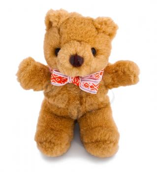 Brown bear with elegant bow