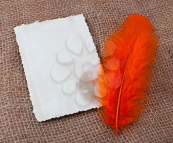 Orange feather and old blank card on sack material