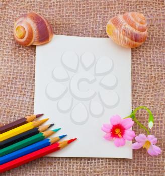 Empty letter on the sack surface with colorful pencils, flowers and cockleshells