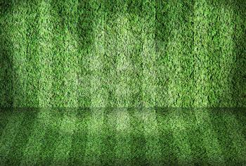 Green lined football field
