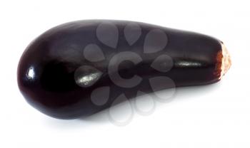 Single eggplant isolated on white