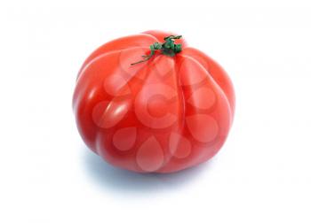 Fresh one tomato on the white background