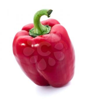 One red pepper isolated on white background