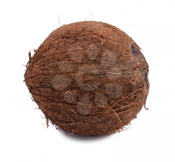 Whole coconut isolated on white background