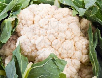 Fresh cauliflower closeup