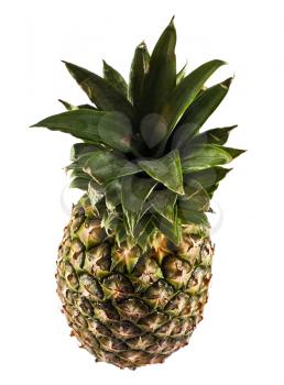 Ripe pineapple isolated on the white background