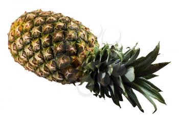 Tasty ripe ananas or pineapple on white
