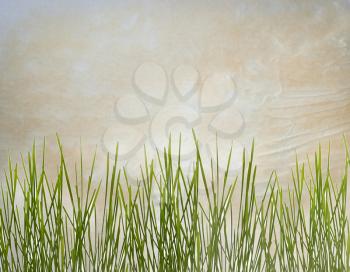Green grass on the old paper texture