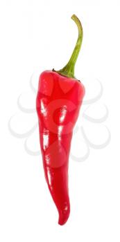 Spicy chili pepper over white background