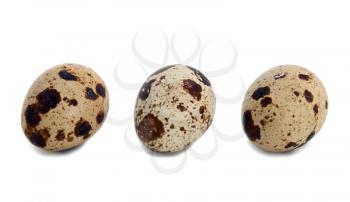 Set of the quail eggs isolated  on white background