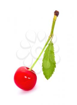 Red cherry isolated on white