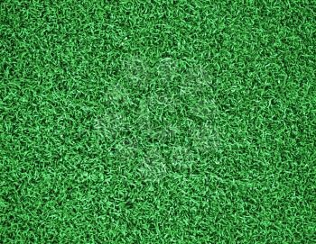 Artificial grass on the football field