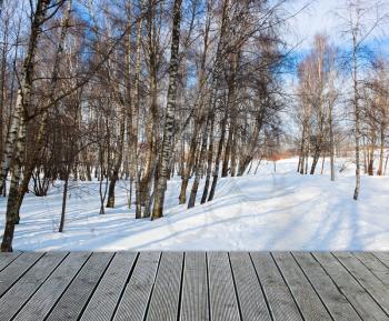 Birch winter forest on sunny day with wooden path