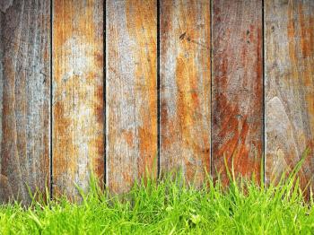 Green grass with wooden boards