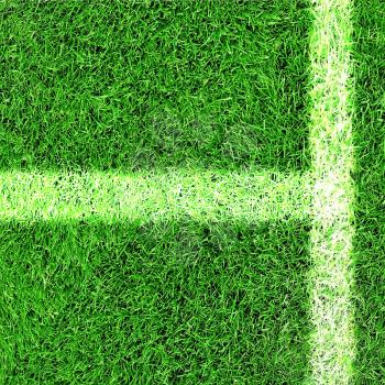Green football field grass with line
