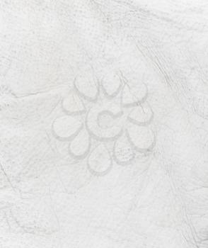 Pattern of the white old leather background