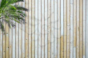 Wooden planks with palm leaves on the background