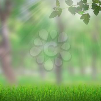 Natural growing grass on forest spring background