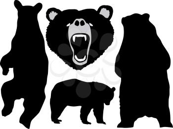 Royalty Free Clipart Image of a Variety of Bear Silhouettes