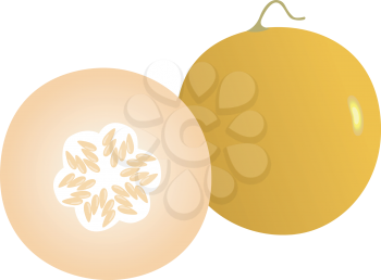 Royalty Free Clipart Image of a Cantaloupe