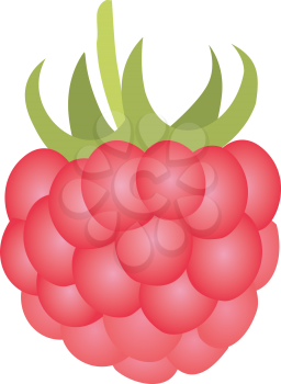 Royalty Free Clipart Image of a Raspberry