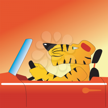Royalty Free Clipart Image of a Tiger Driving a Car