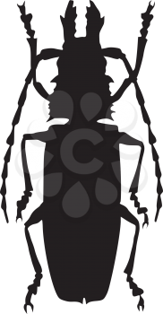 silhouette of giant beetle