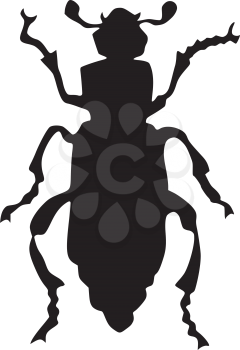 silhouette of grave-digger beetle