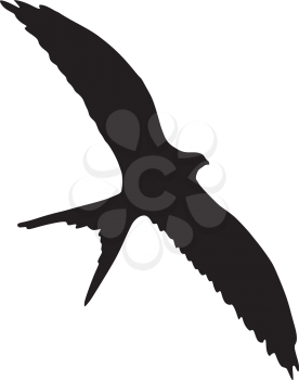 silhouette of swallow