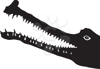 silhouette of gavial