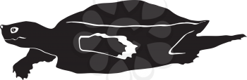 silhouette of loggerhead turtle