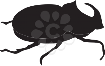 silhouette of rhinoceros beetle
