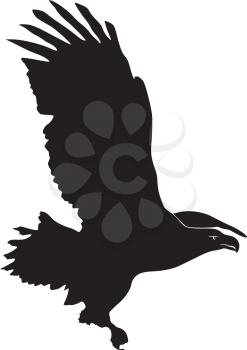 silhouette of Sea-Eagle