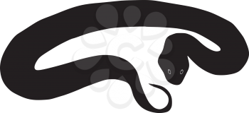 silhouette of snake