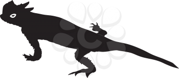 silhouette of desert horned lizard