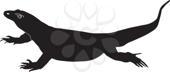 silhouette of Komodo dragon