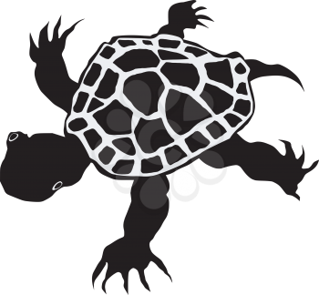 silhouette of little turtle