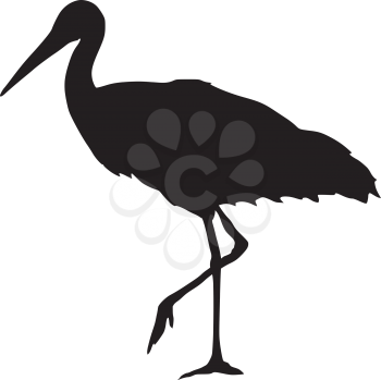 silhouette of stork