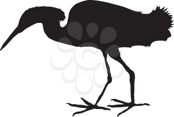 silhouette of heron