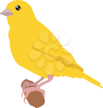 Illustration of canary