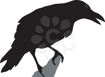 silhouette of crow