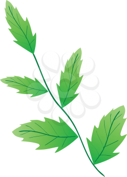 Decorative leaf
