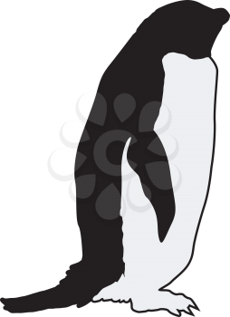 silhouette of penguin