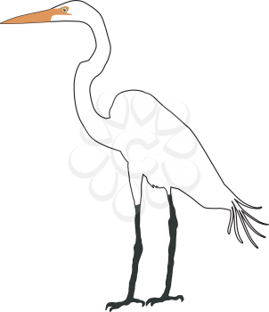 Illustration of white heron