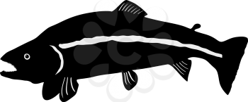 silhouette of the trout on white background