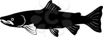 silhouette of the salmon on white background