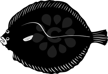 silhouette of the brill on white background