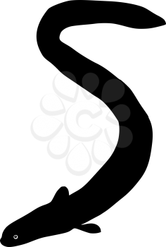 silhouette of the eel on white background